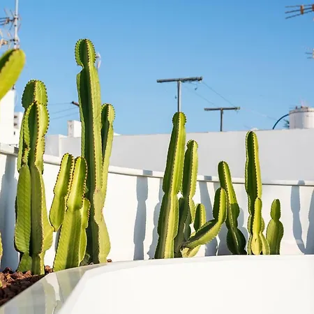 Y Estudios Centricos Conil Apart-hotel 3*