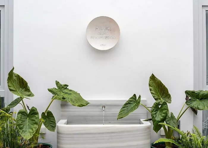 Y Estudios Céntricos Conil