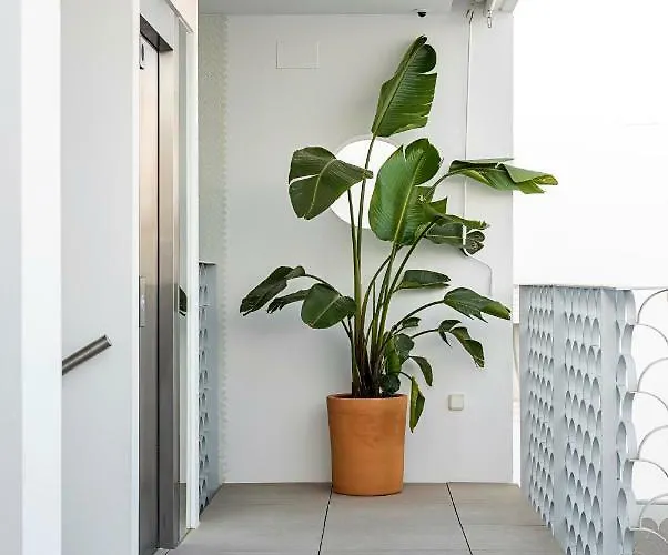 Y Estudios Céntricos Conil Conil De La Frontera