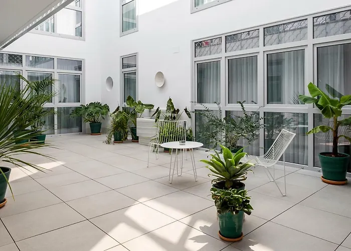 Y Estudios Céntricos Conil Conil De La Frontera